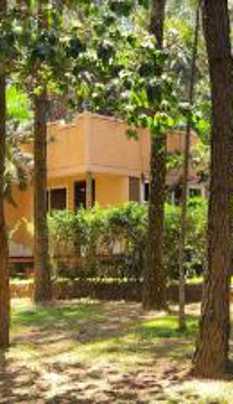 Saltek Forest Cottages