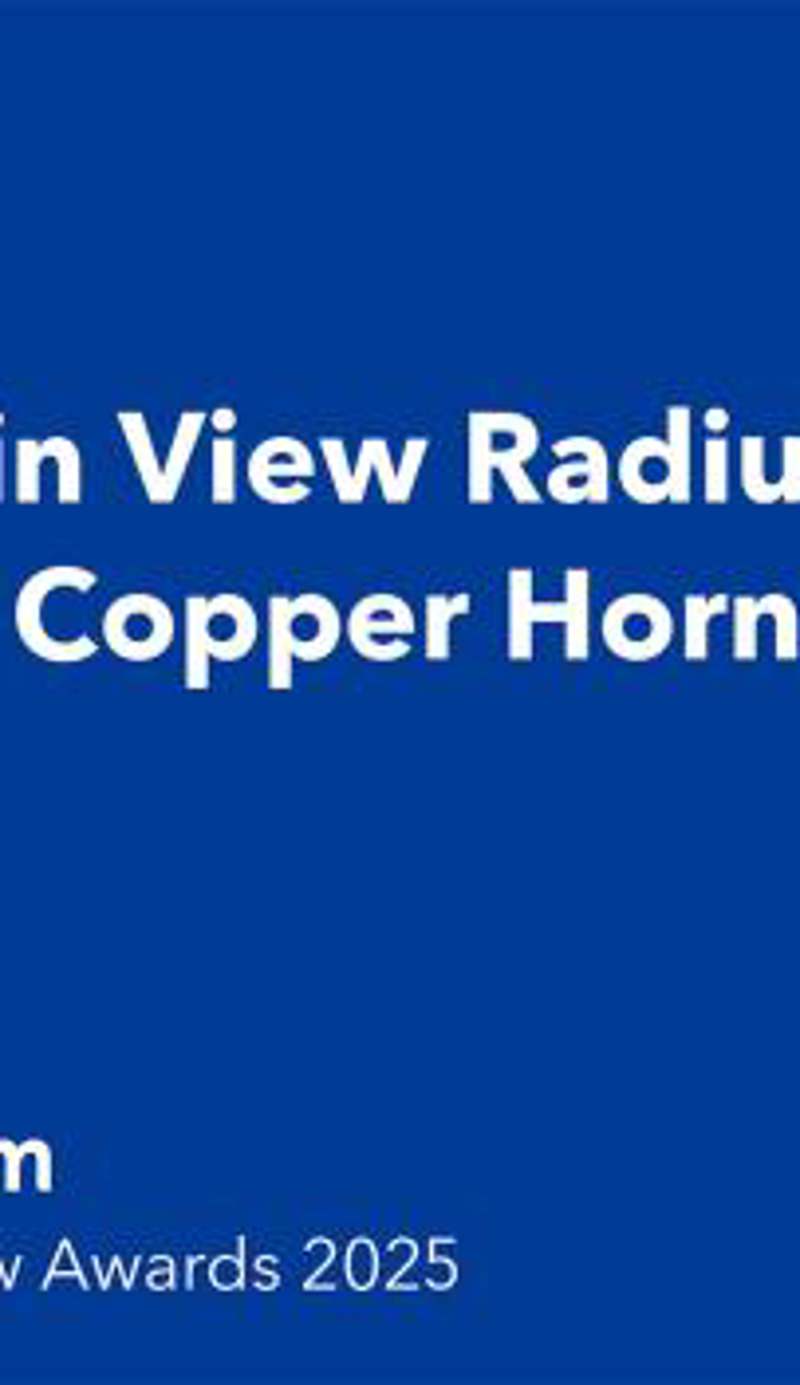 Mountain View Radium Condo - Copper Horn Village
