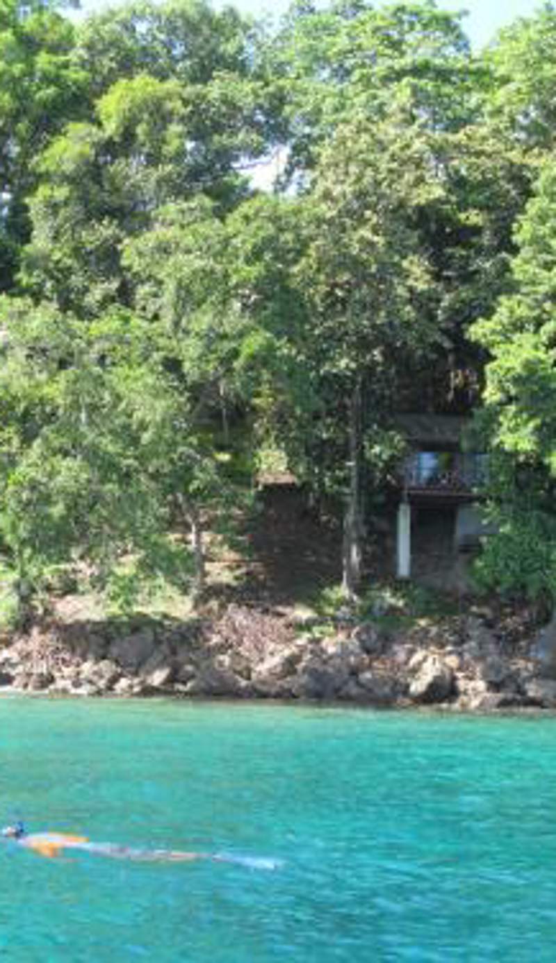 Treetop Guesthouse and Bungalows