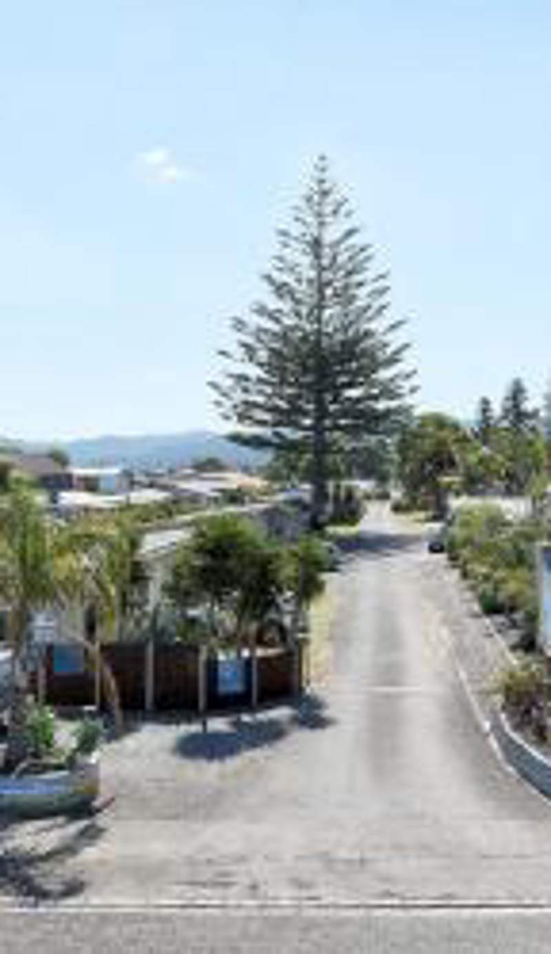 Mercury Bay Holiday Park