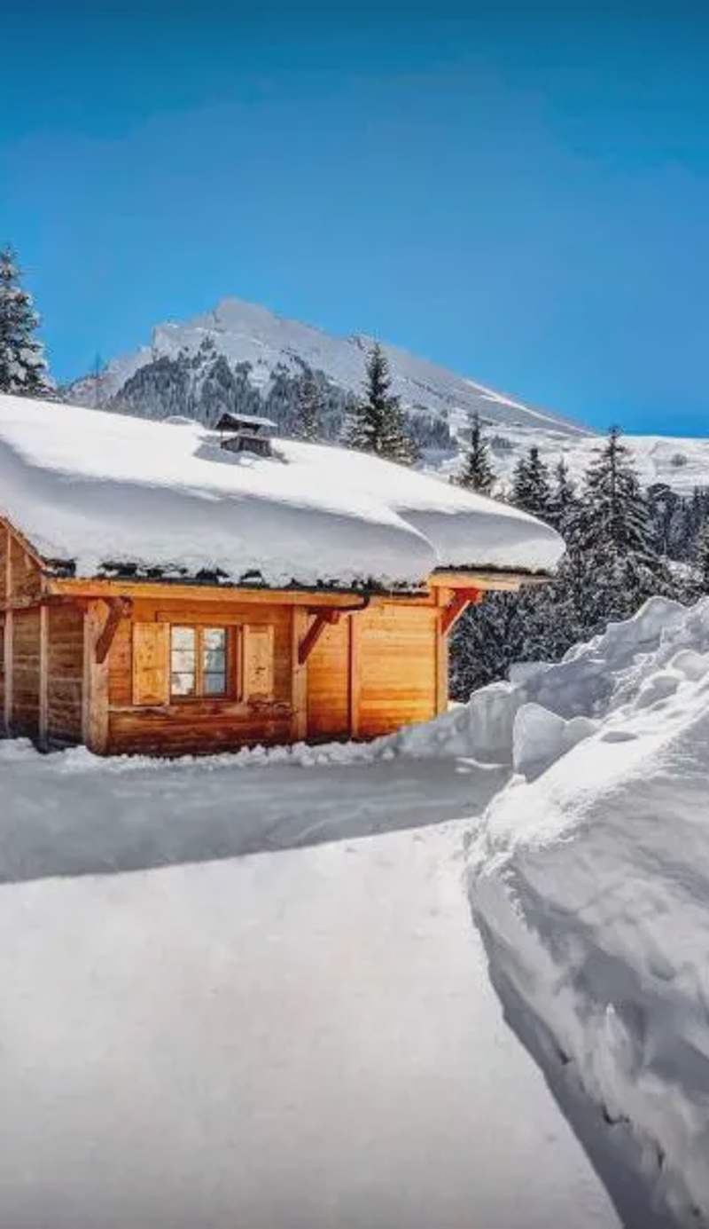 Chalet Hollygotty - OVO Network