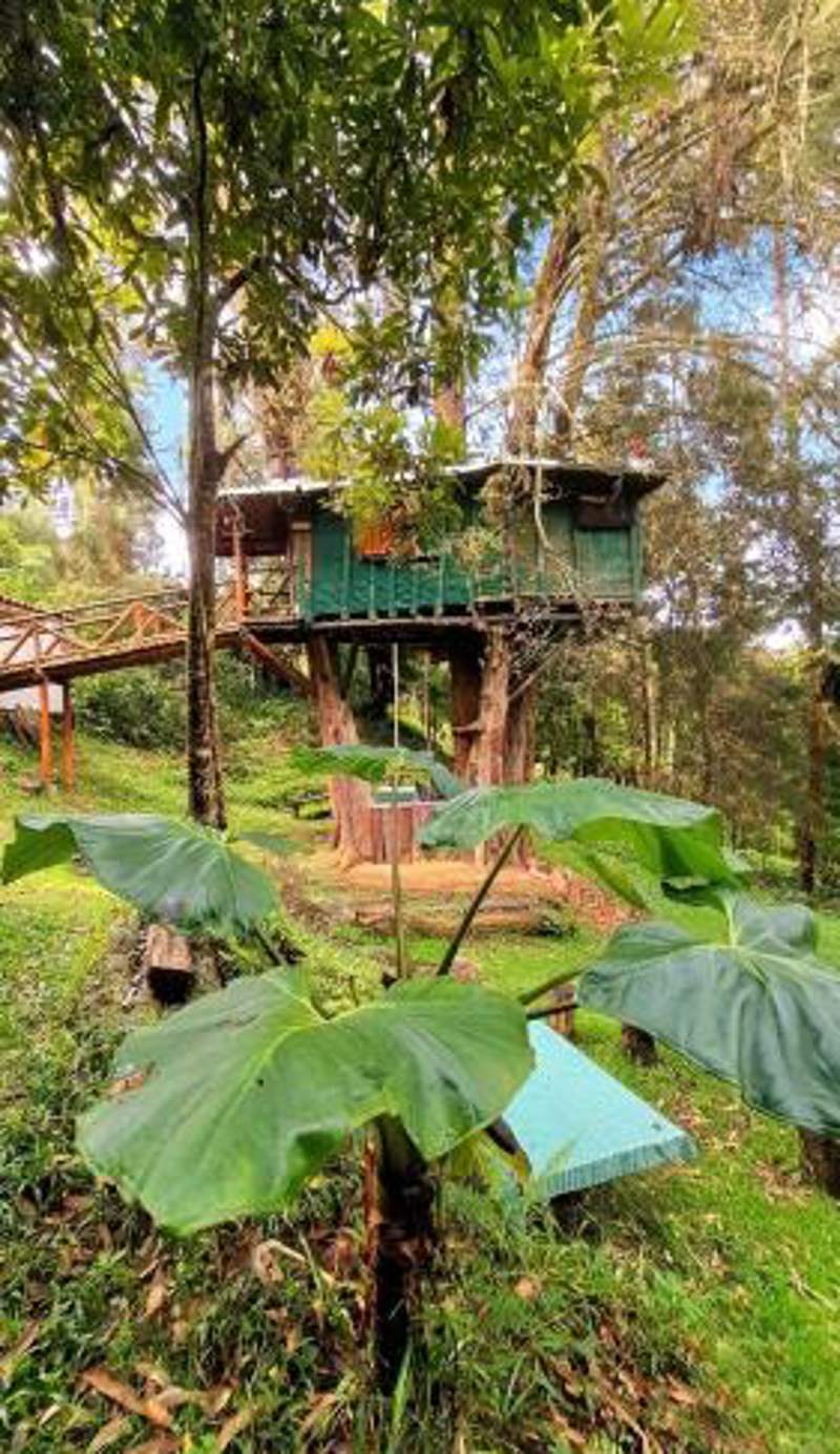 Casa en el Arbol - Cerca Metrocable ARVI - Camping