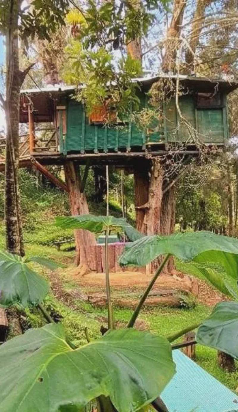 Casa en el Arbol - Cerca Metrocable ARVI - Camping