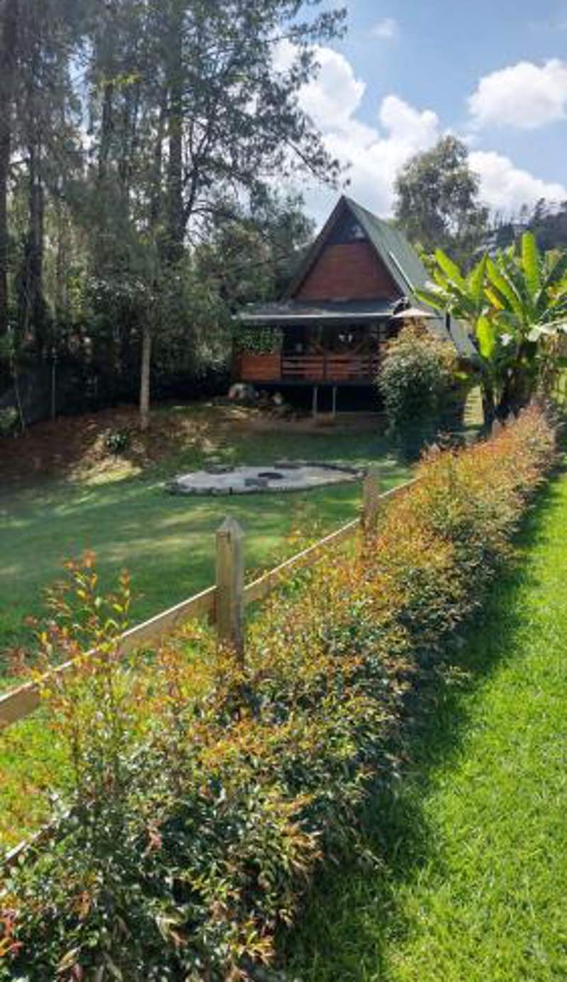 EUCALYPTO CHALET