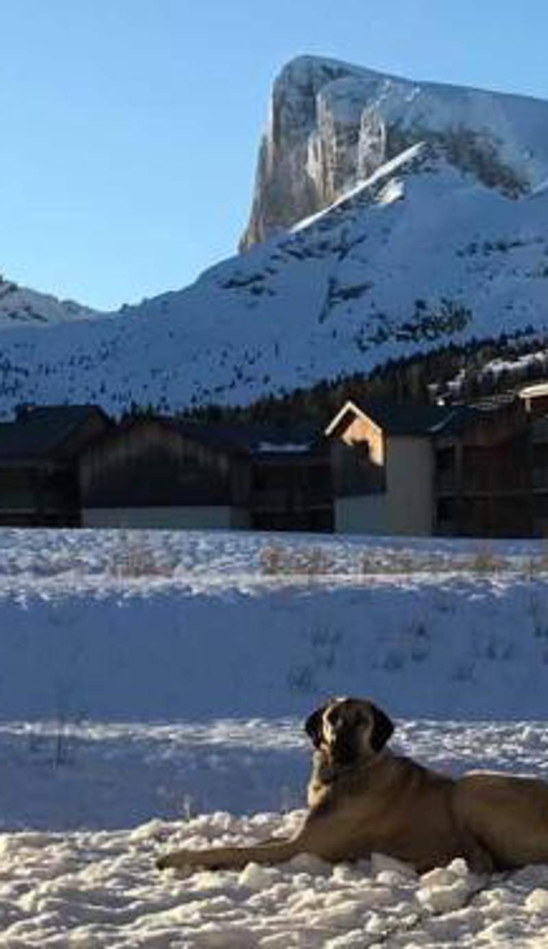 Les chalets de superD, apt 7-9 personnes