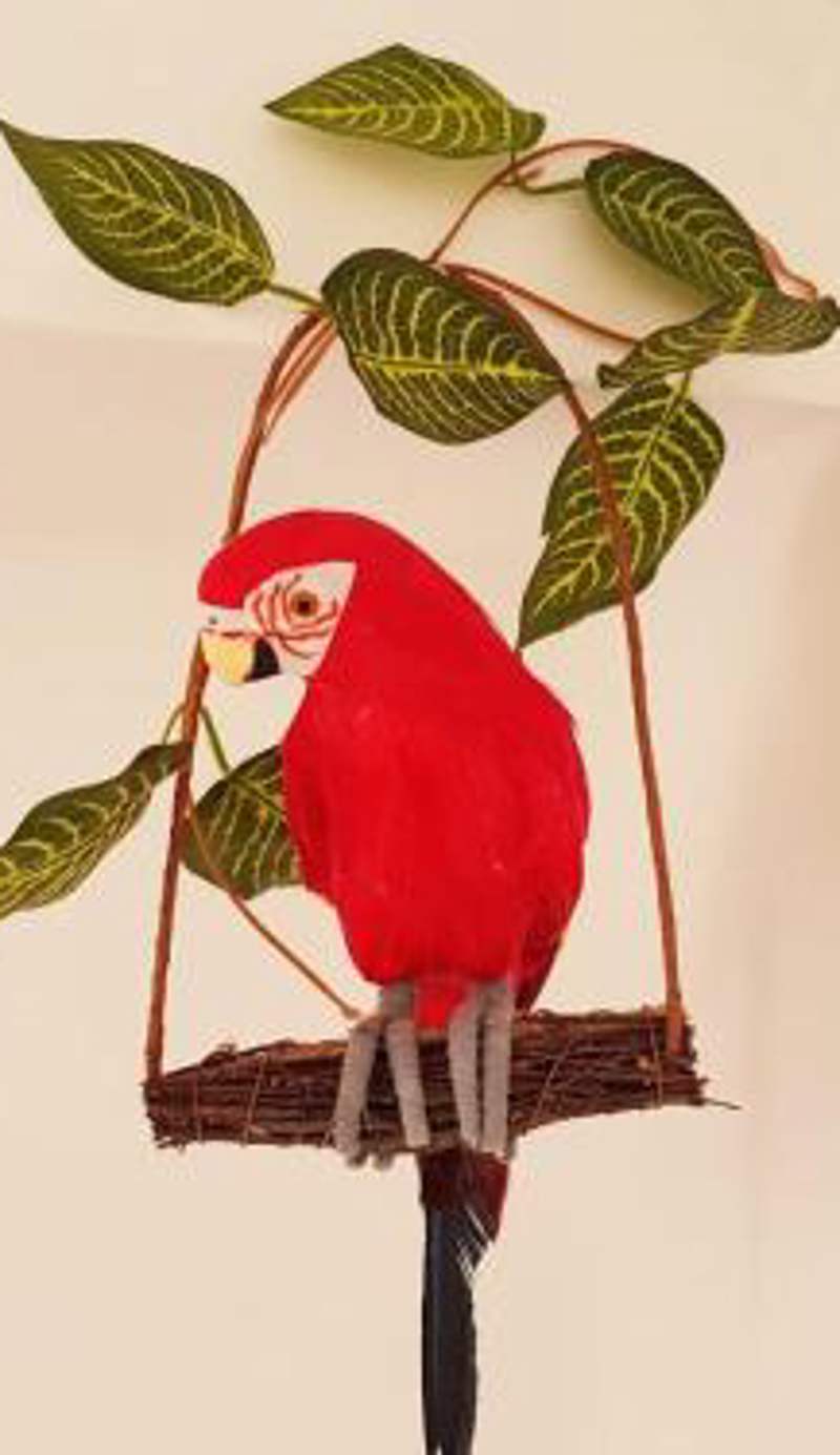 Parrot’s House