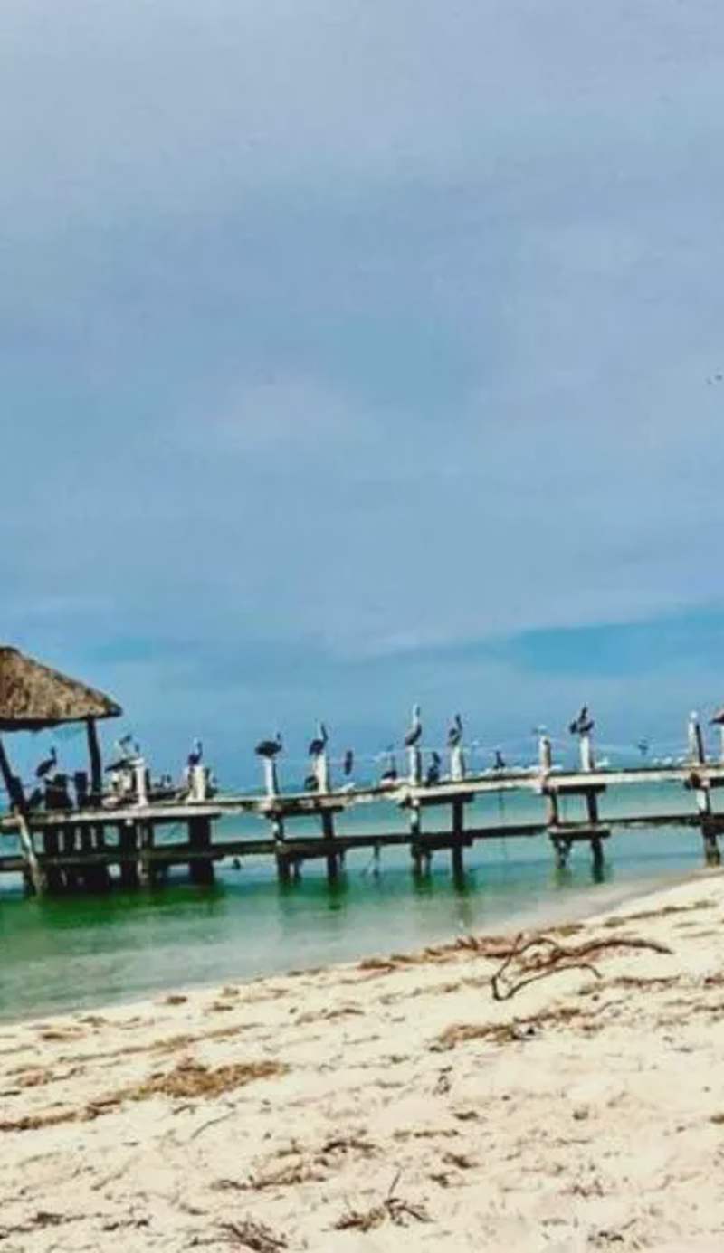 Beachfront apartment with swimming pool. One bedroom