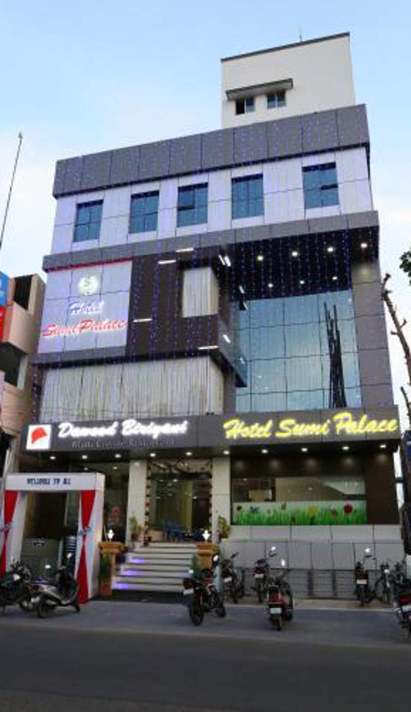 Hotel Sumi Palace