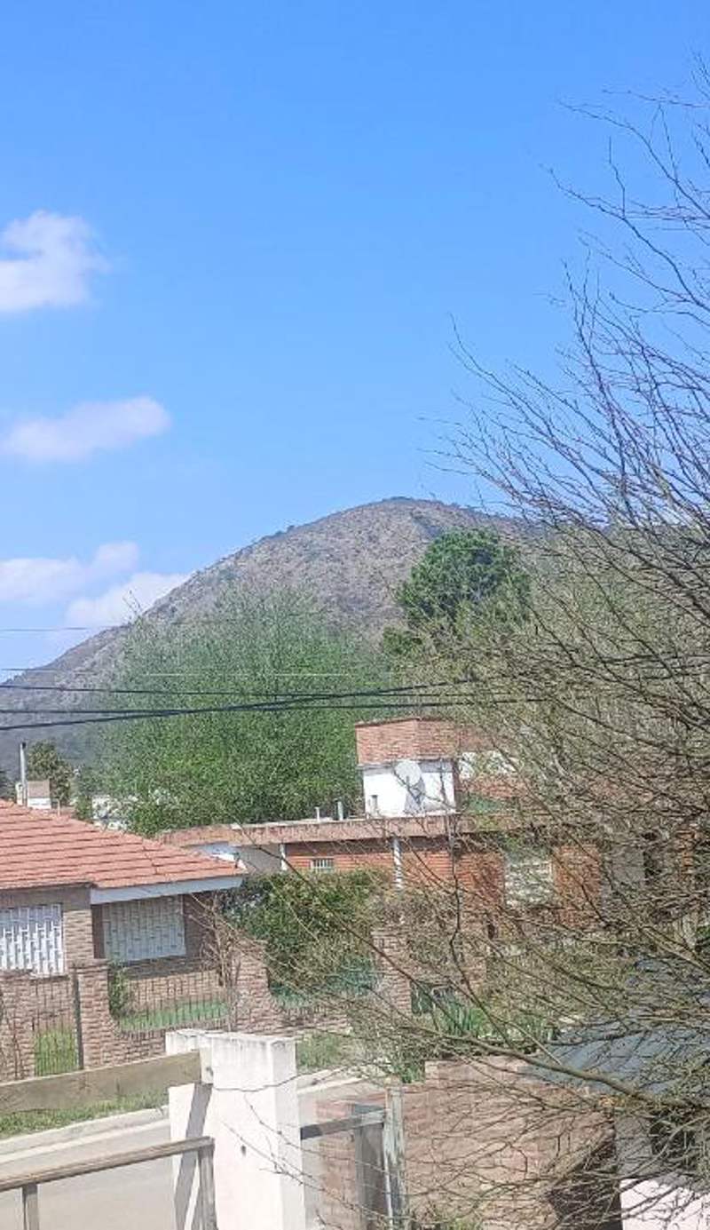 Los algarrobos