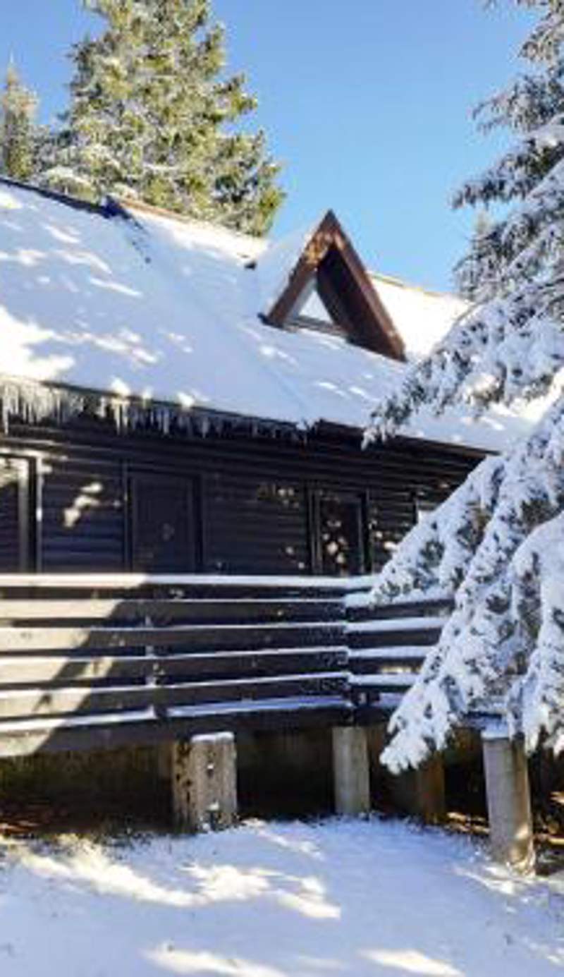 Tree Top Rogla Apartment