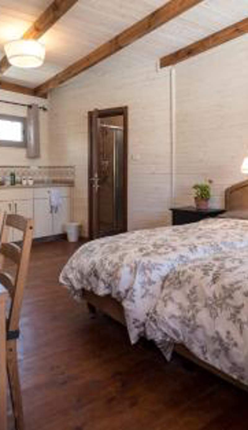 Myrtle the Turtle Guesthouse