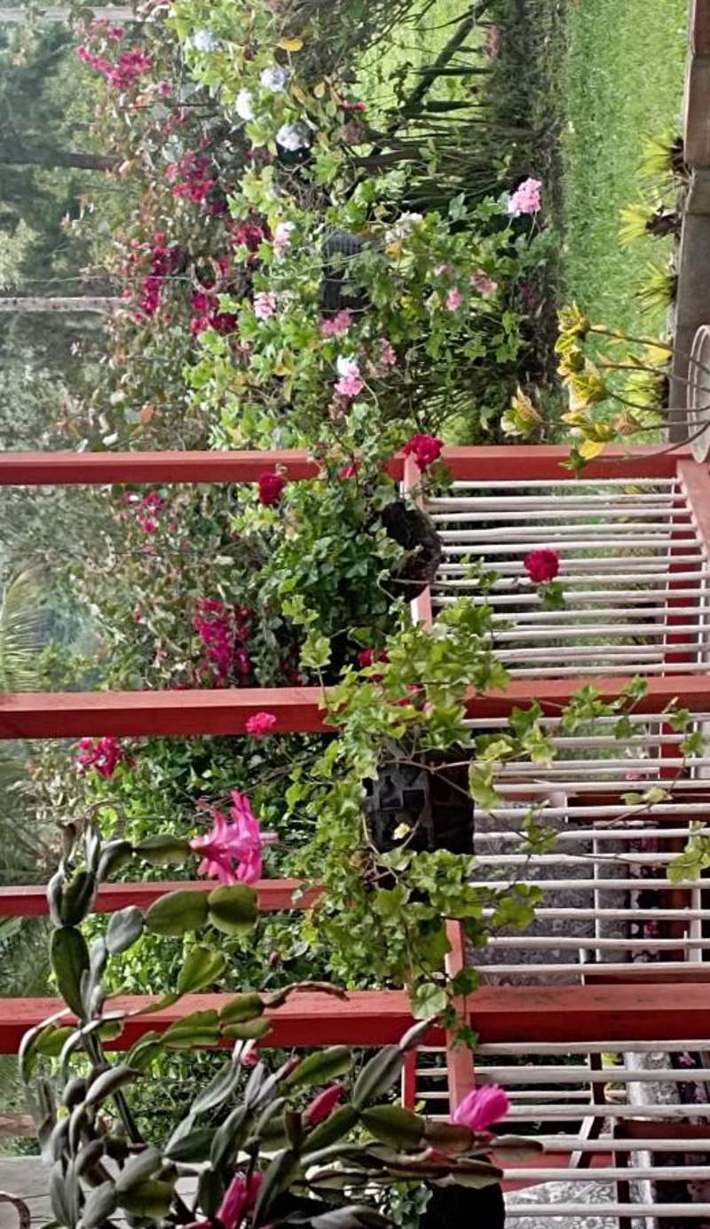 Hostal Rio Arabia - Valle De Cocora HOTEL