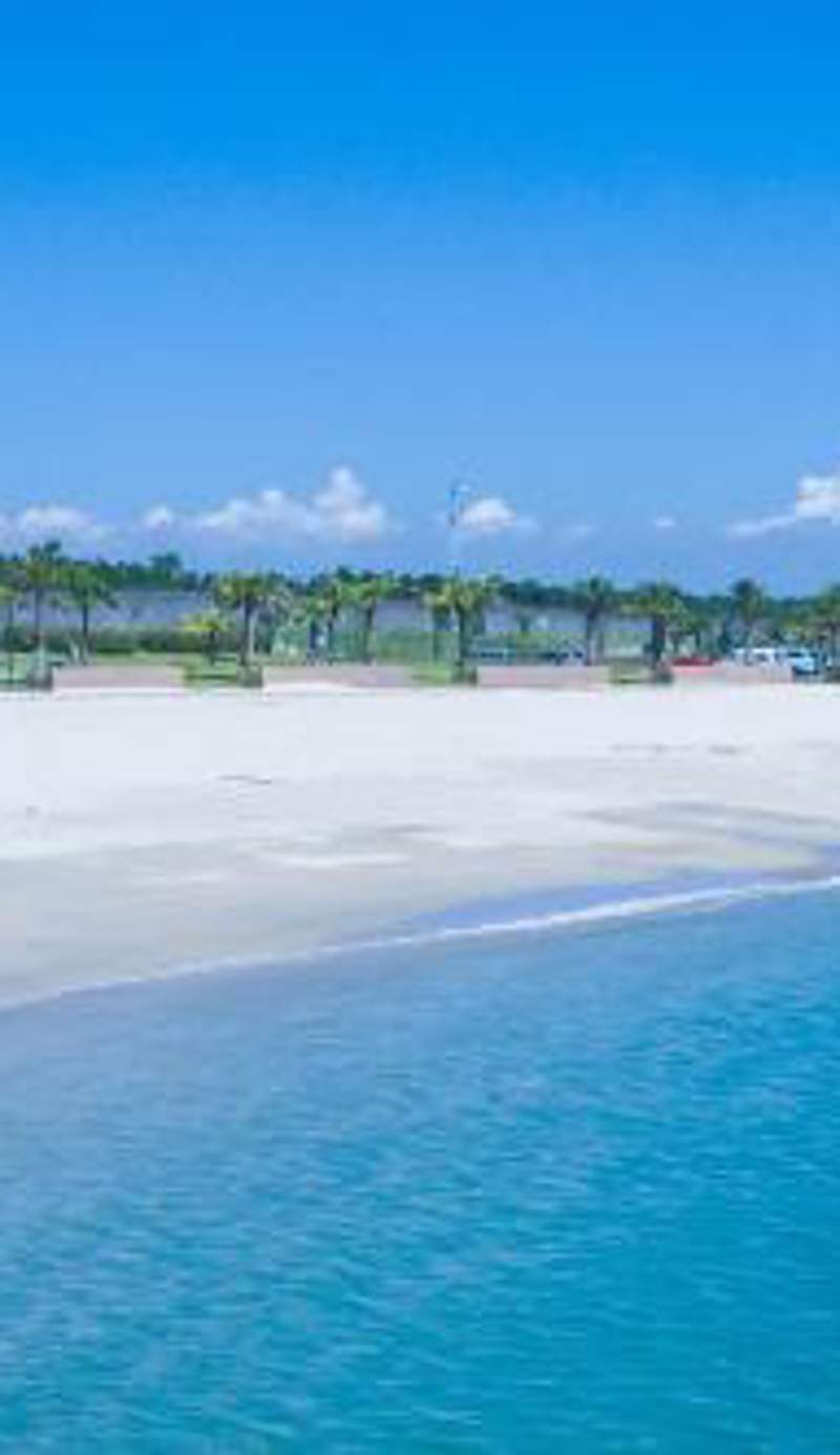 Seagaia Forest Condominiums
