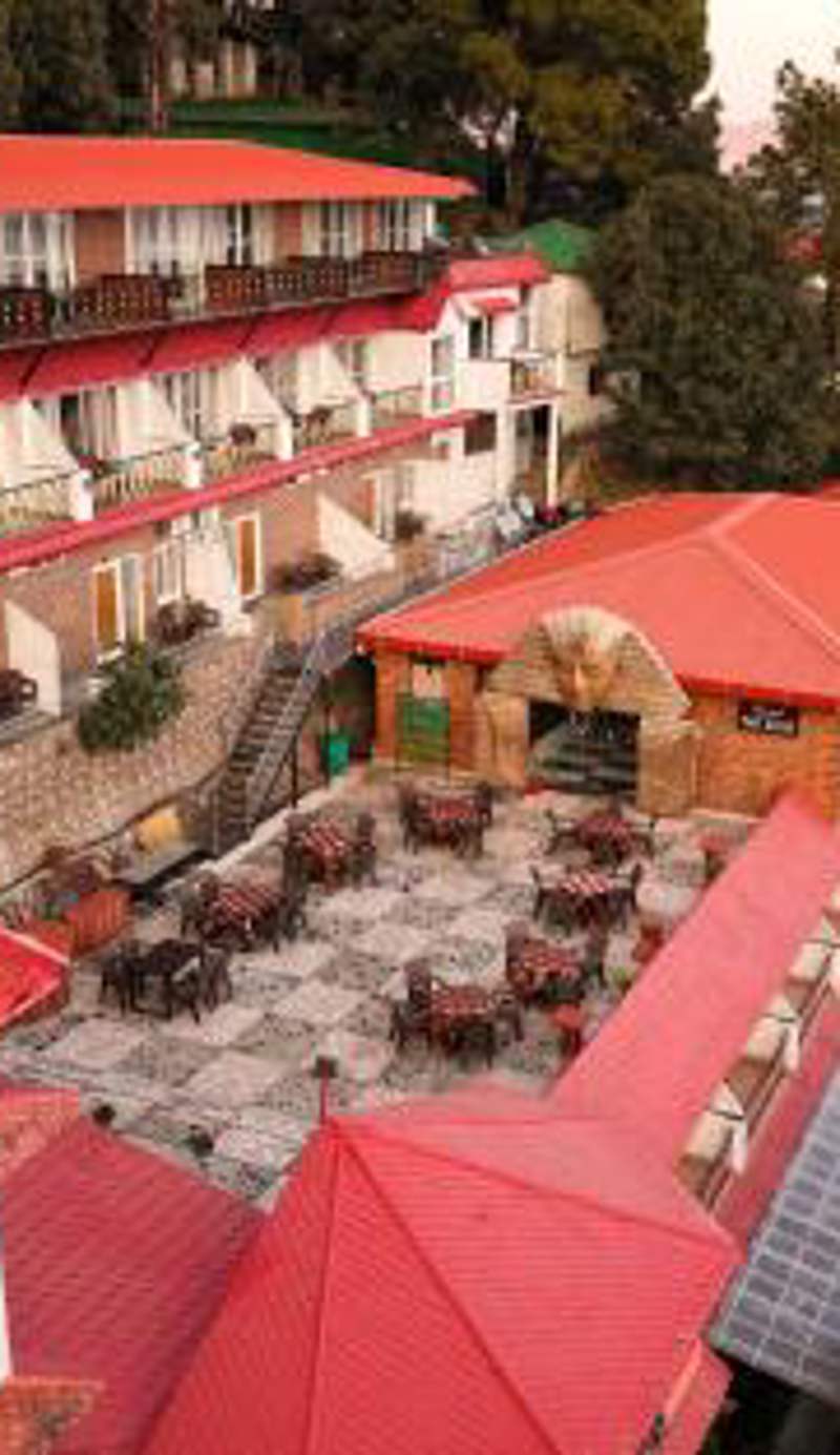Blue Pine Resort