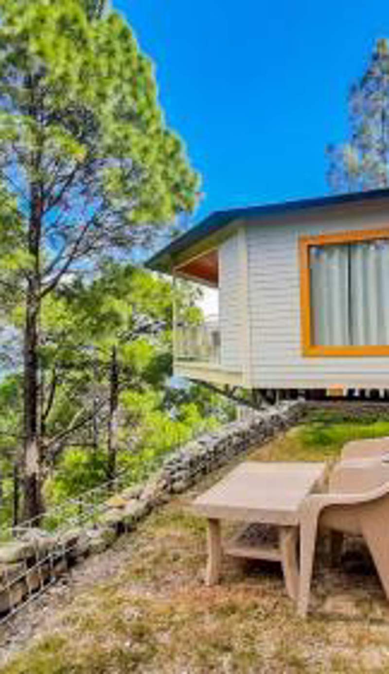 The Woods Retreat