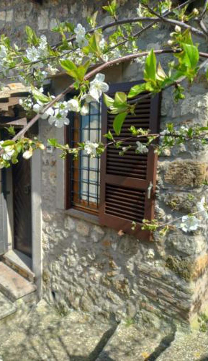 Autenticum Agriturismo Tolfa