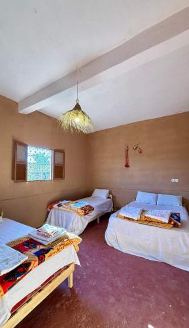 Camping Les Palmeraies - Oasis Escape Tagounite