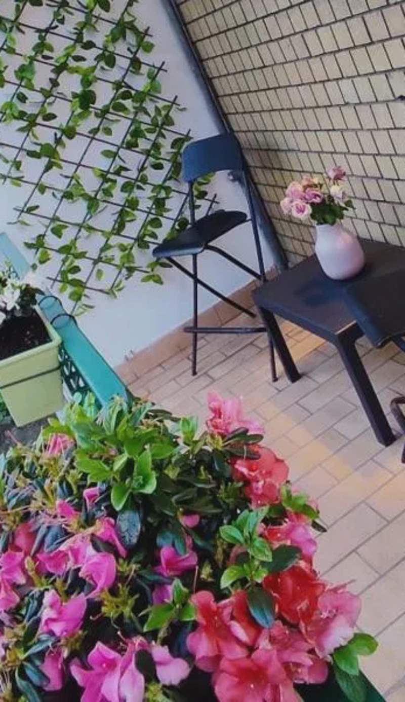 Melody's House