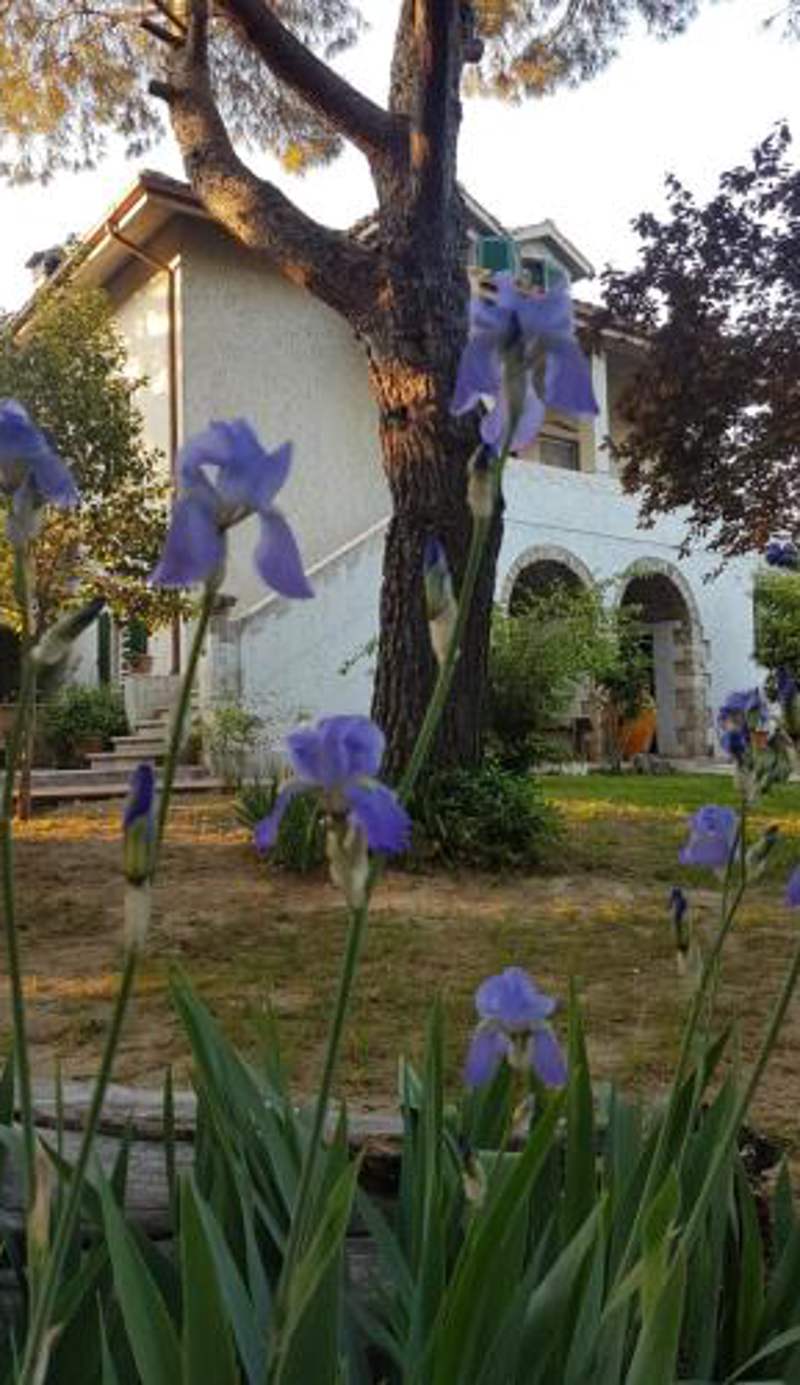 MeraVilla