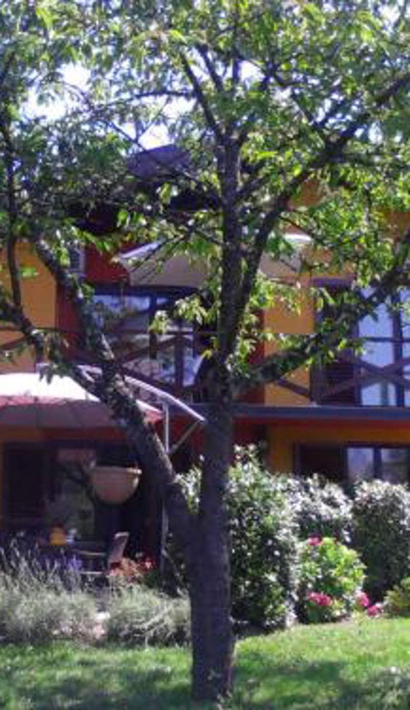 Apartment Villa Ema