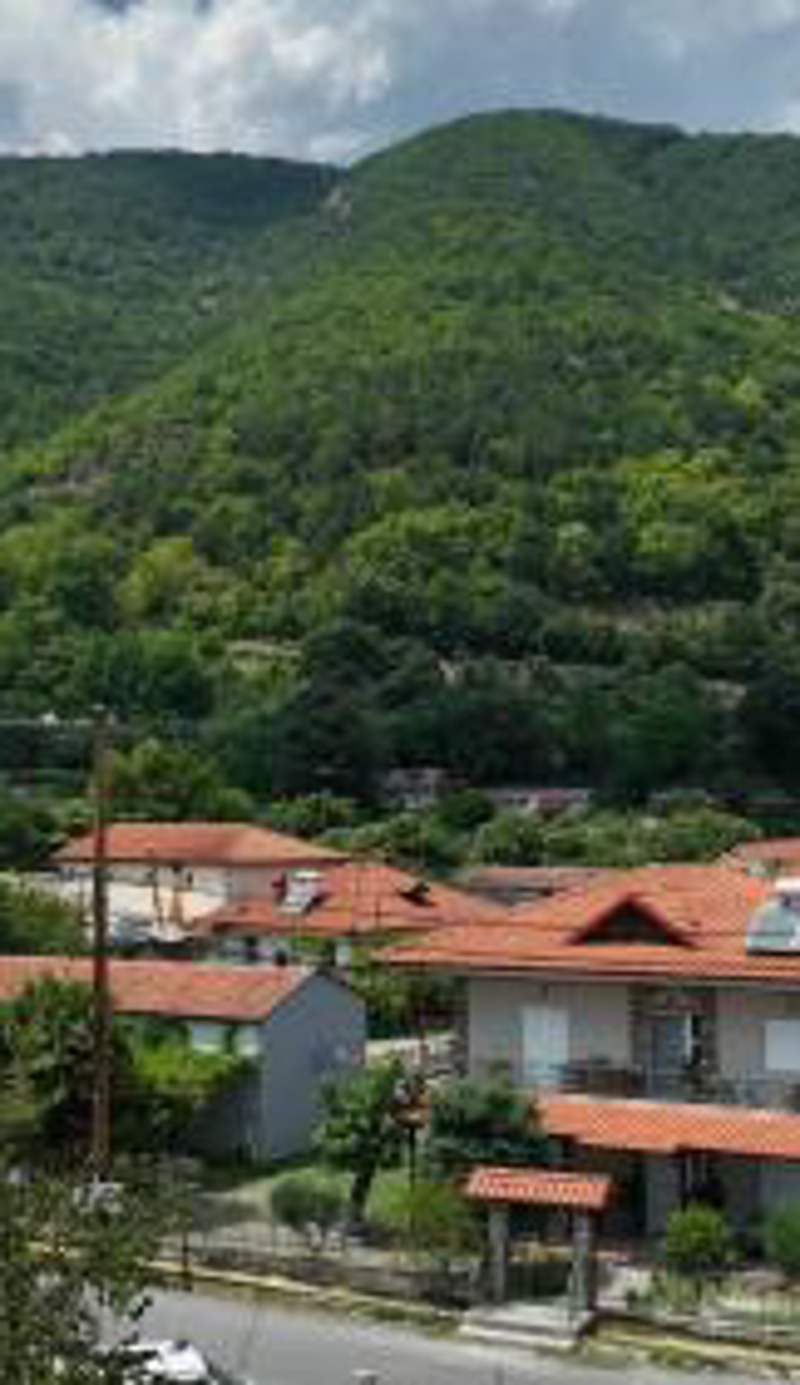 Zeni Pozar