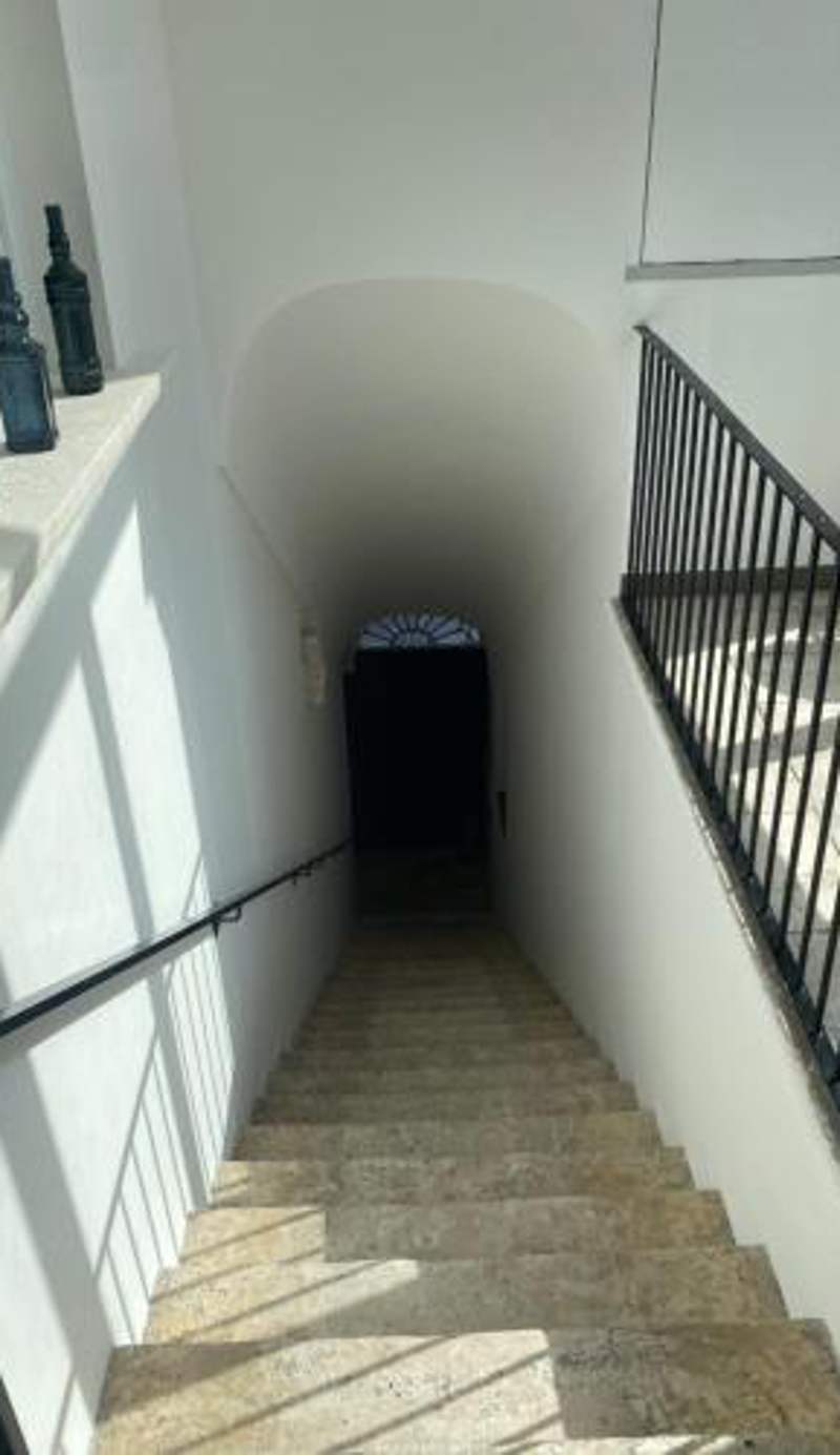 Nova Domus