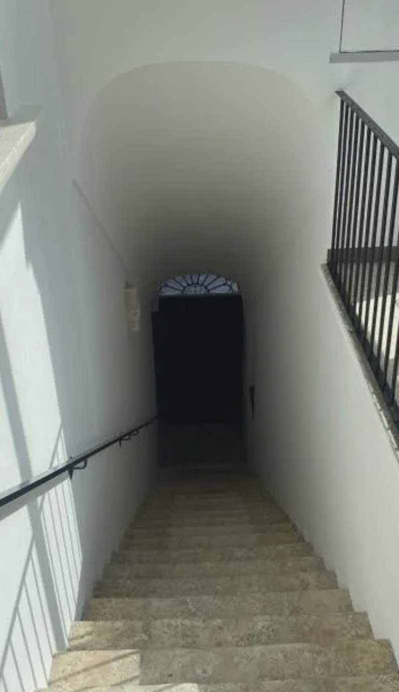 Nova Domus