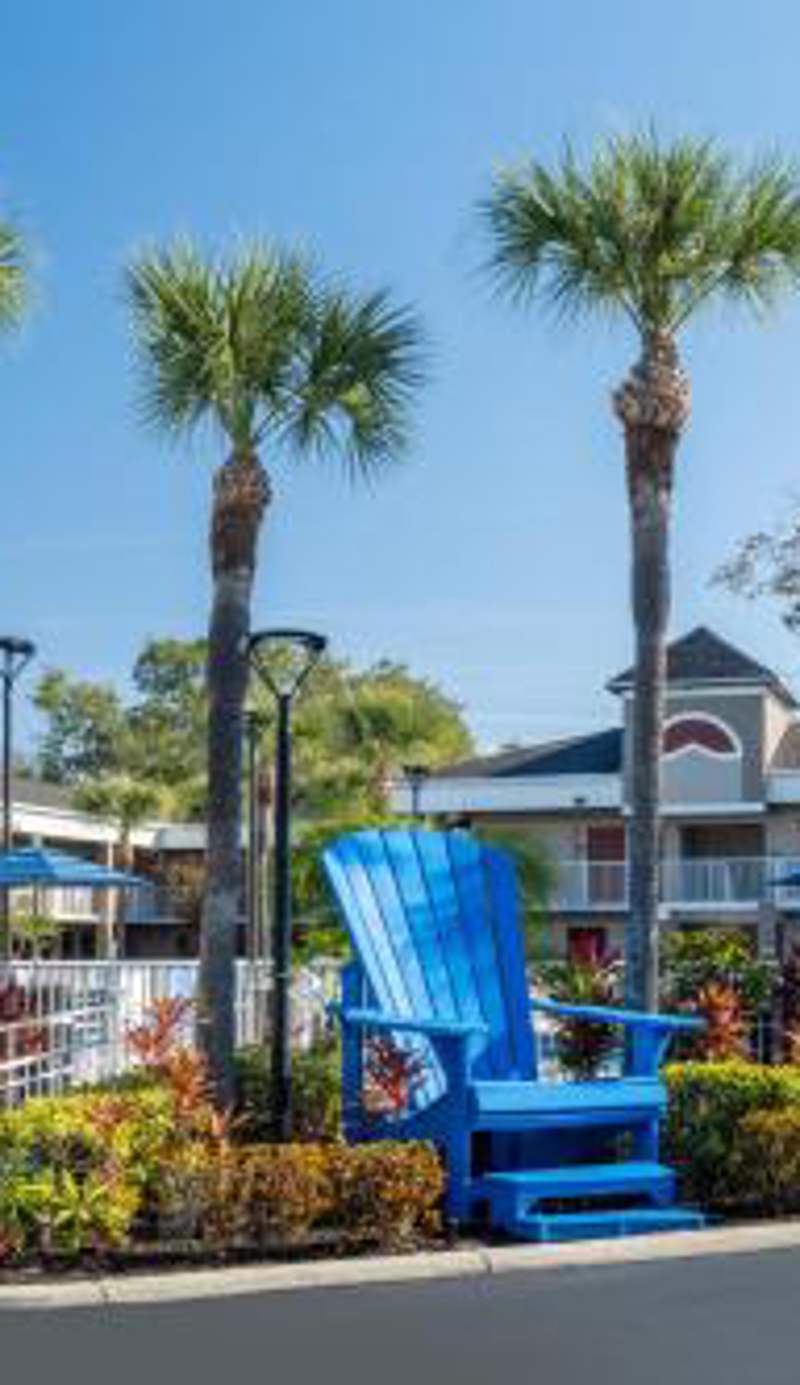 Hotel South Tampa & Suites