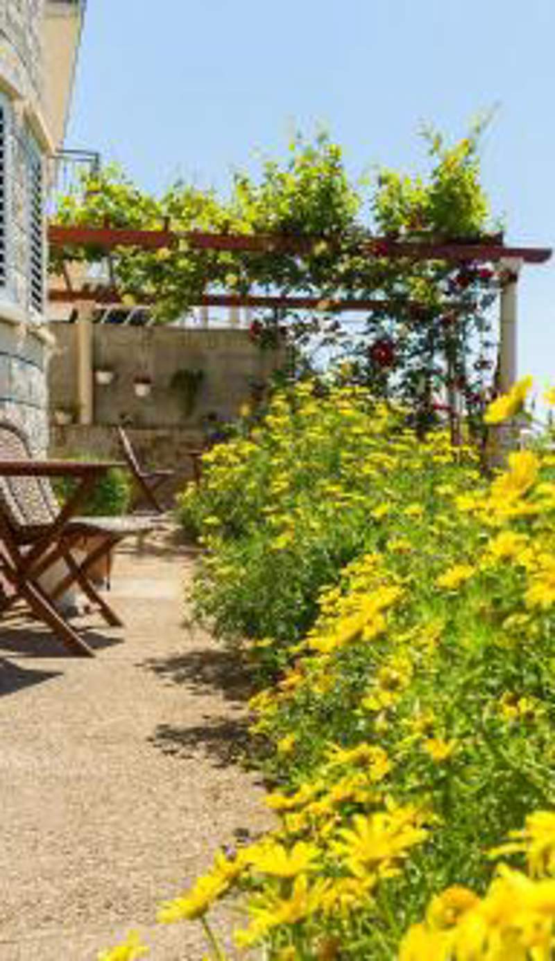 Sunshine Apartments