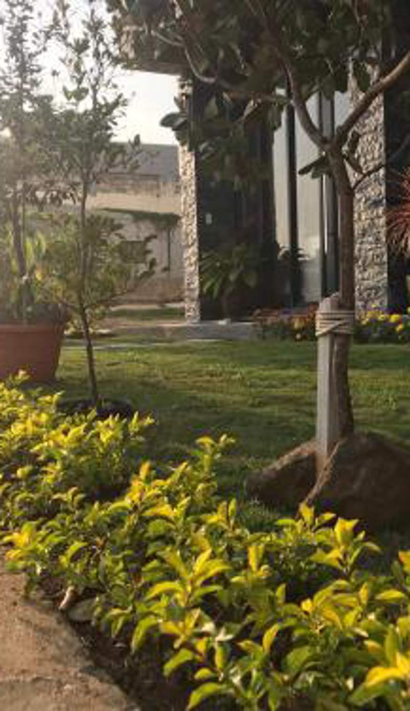 Good Nest Homestay