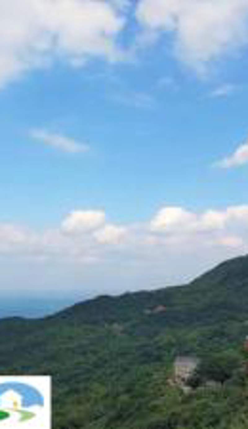 山茶雅舍 新北市民宿證號360號