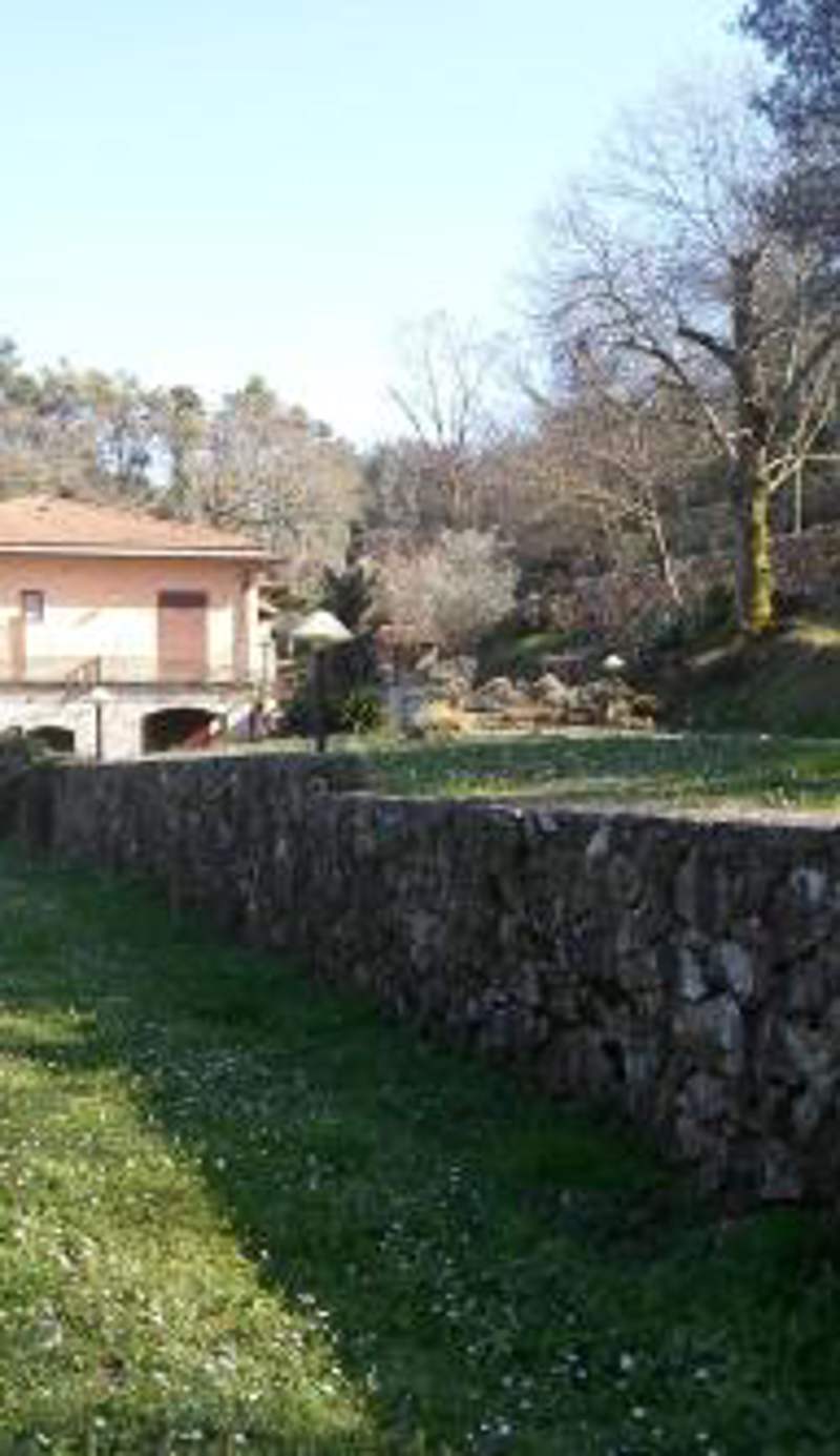 I Lecci