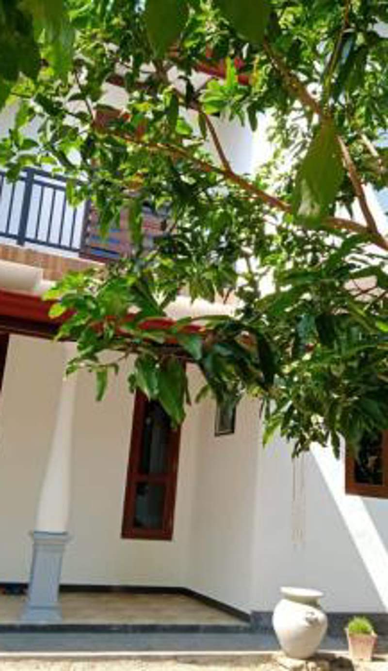 Ashi Villa &Homestay
