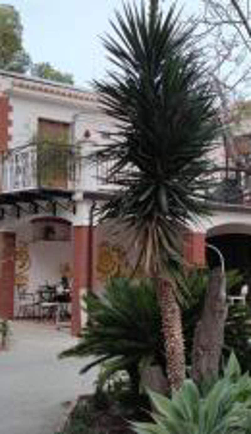 B&B Garden Grazia