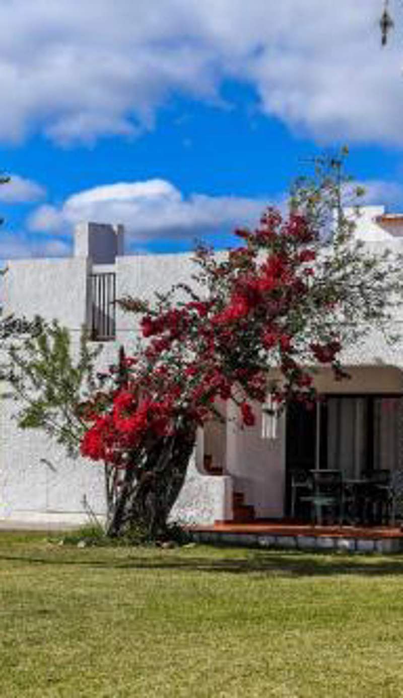 Pedras del Rei
