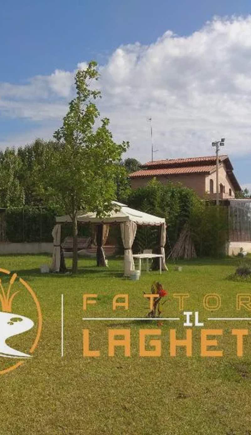 Fattoria Il Laghetto