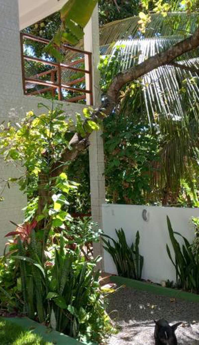Casa da Andrea Imbassai
