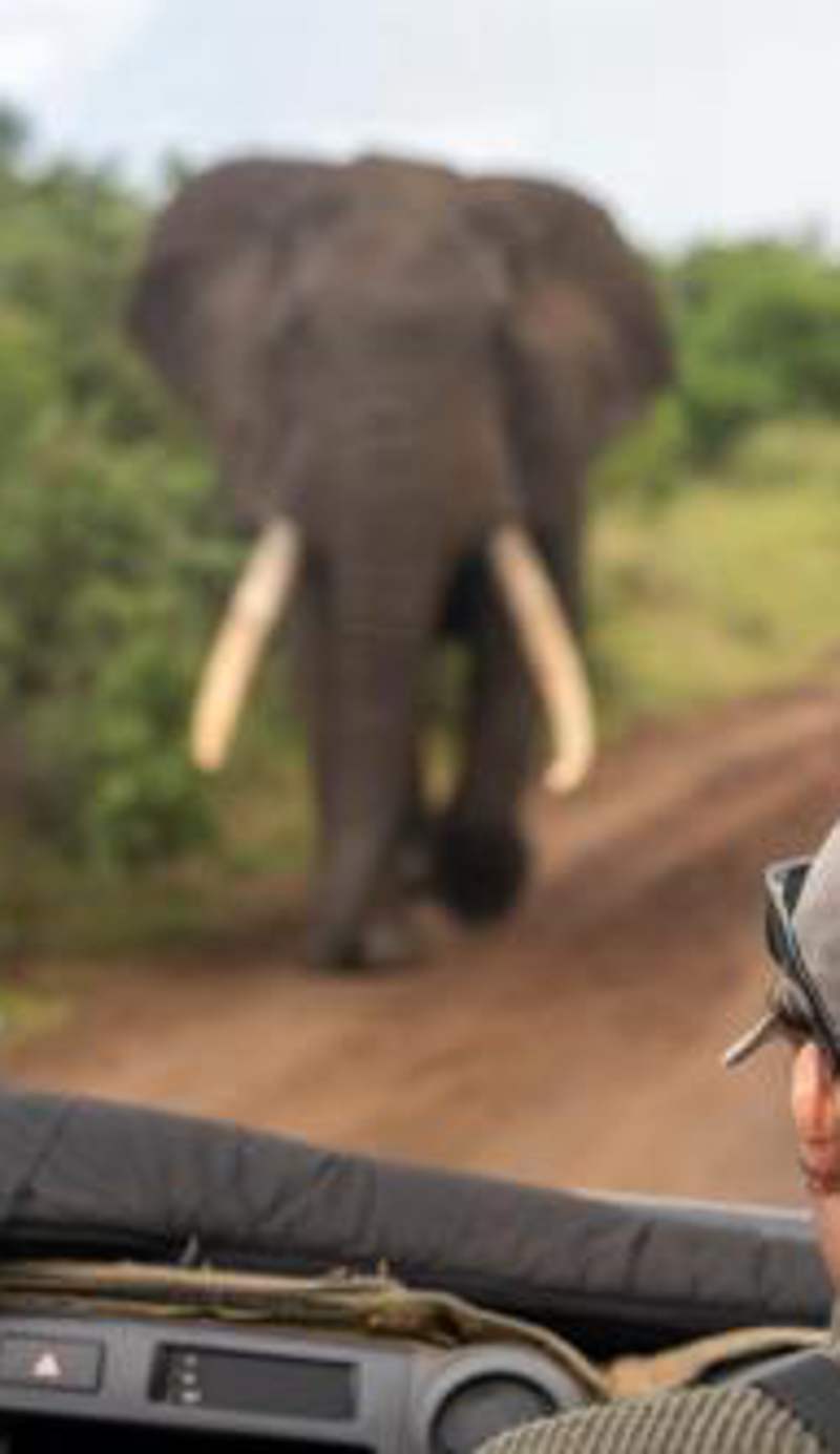 Sungulwane Private Game Lodge