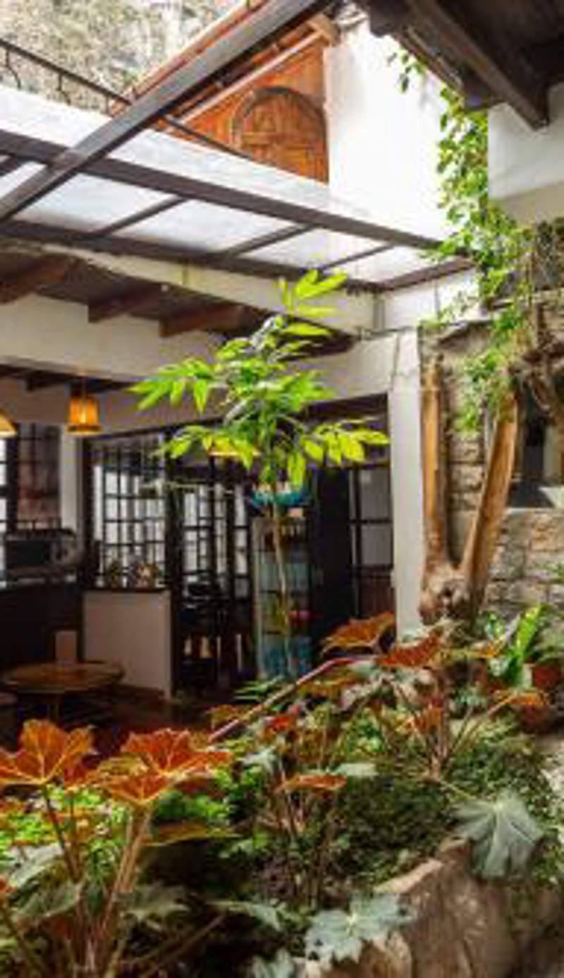 Gringo Bill's Boutique Hotel