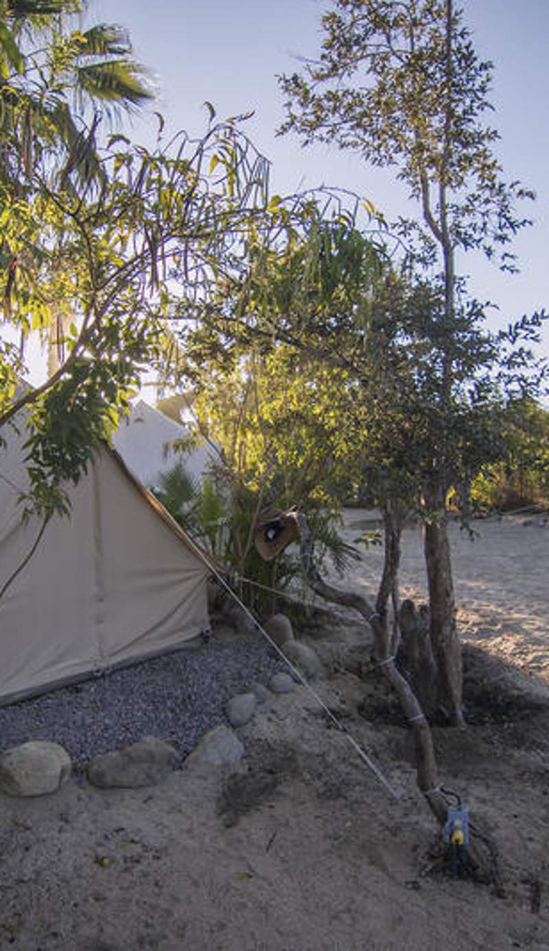 Todos Santos Hostel