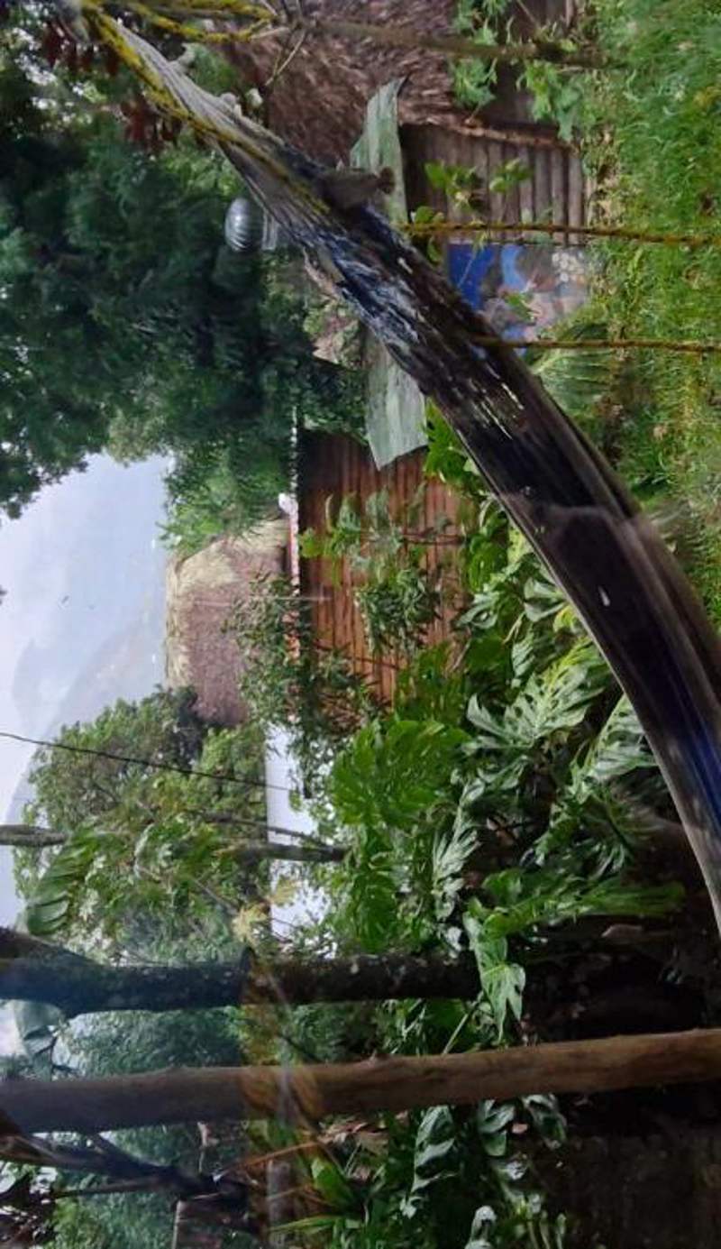 Eco-Hotel Mayachik