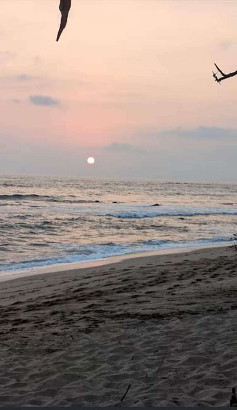 Hostel Playa Negra