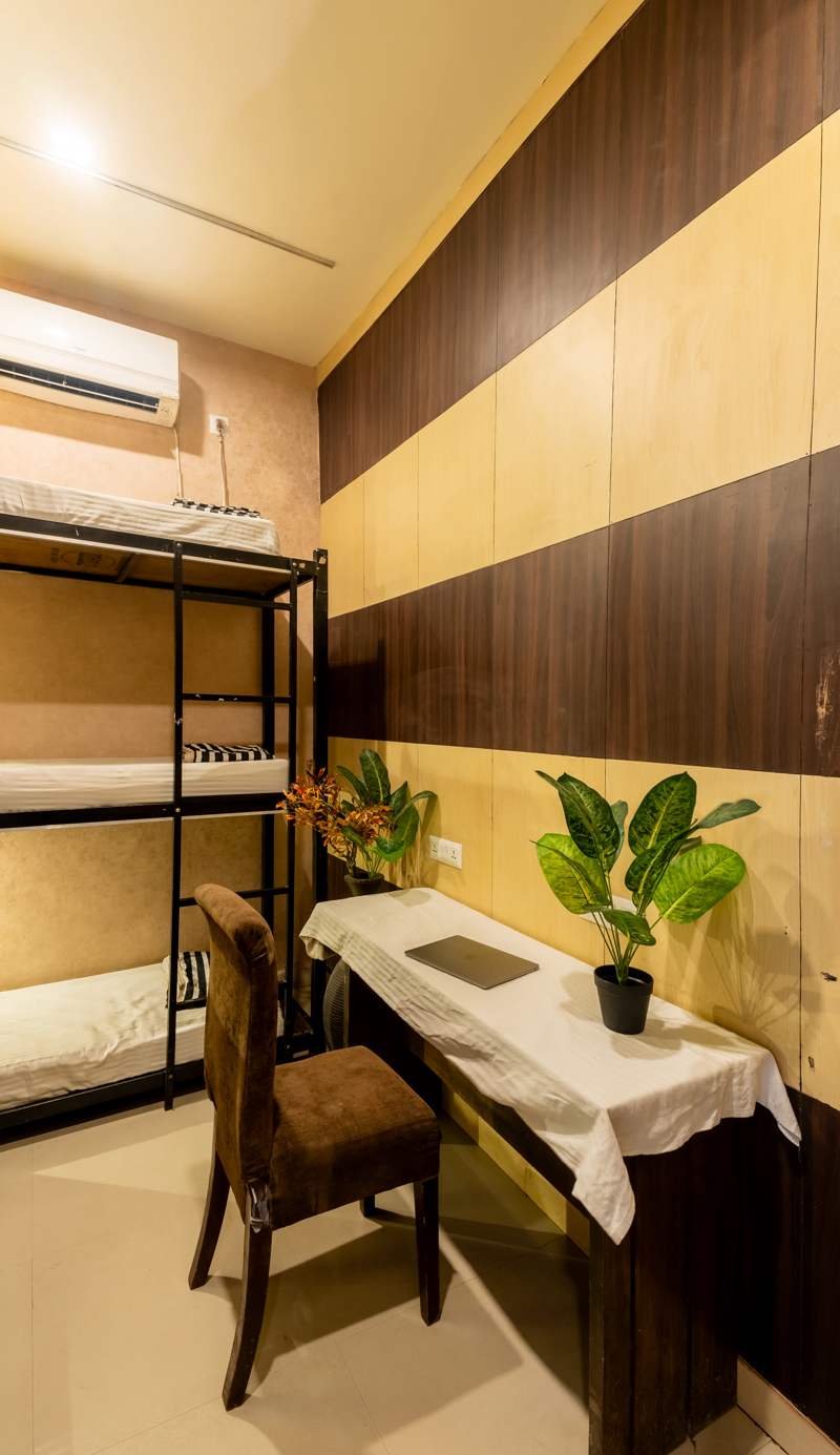 Social Safari Hostel