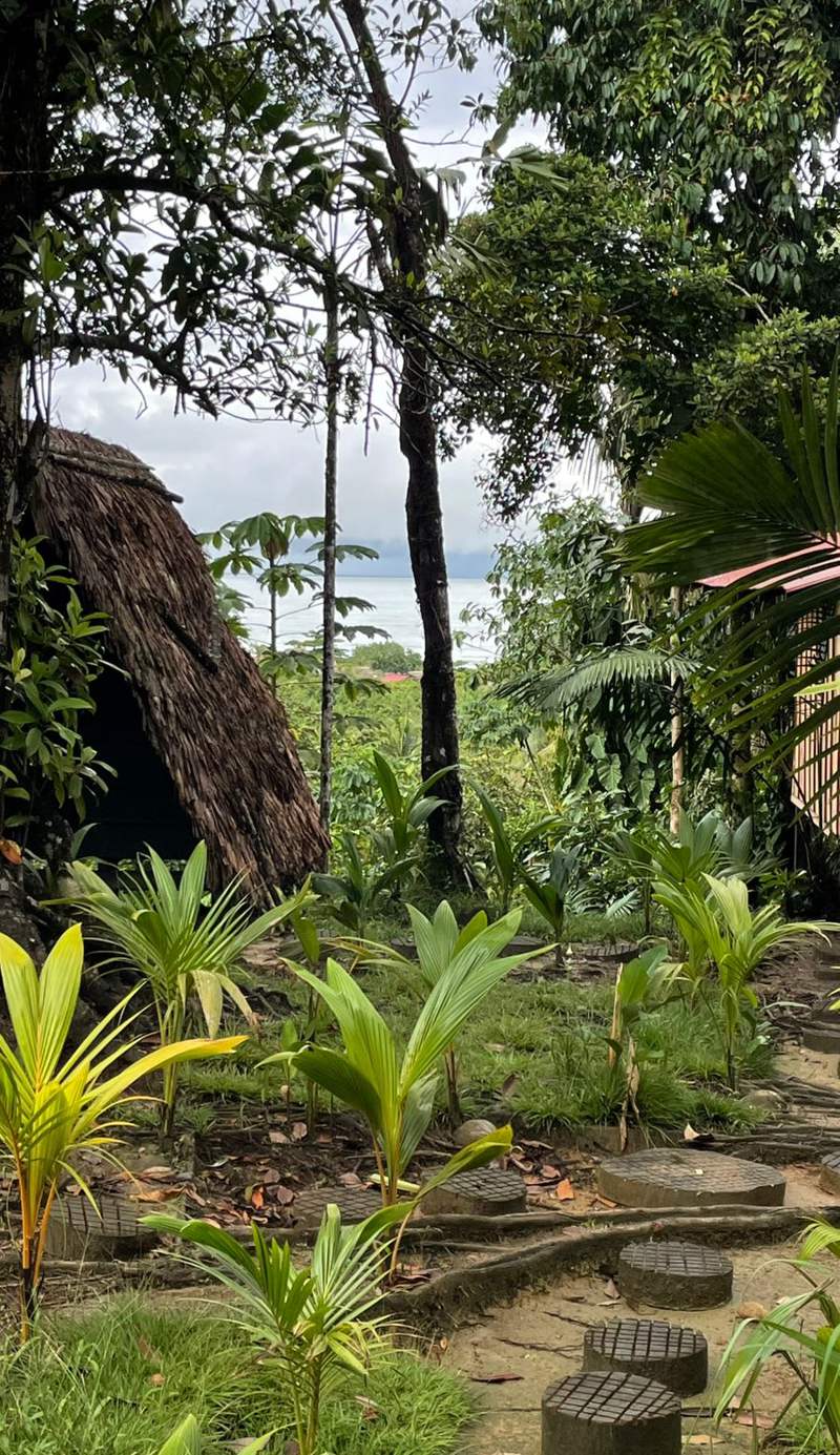 Pacific Dream Hostal