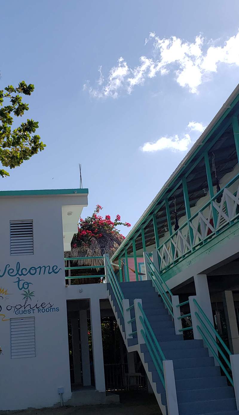 Sophies Guest Rooms