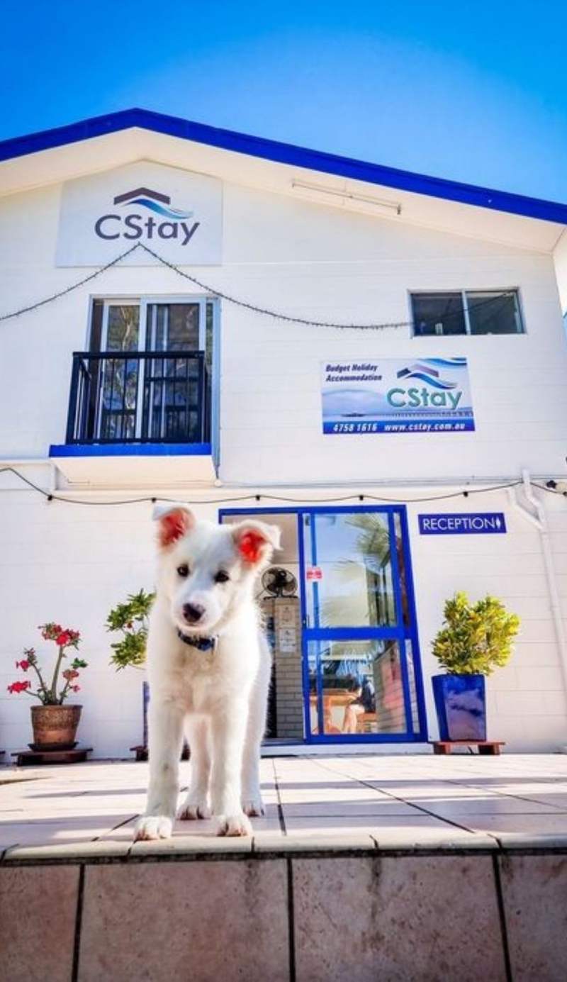 CStay