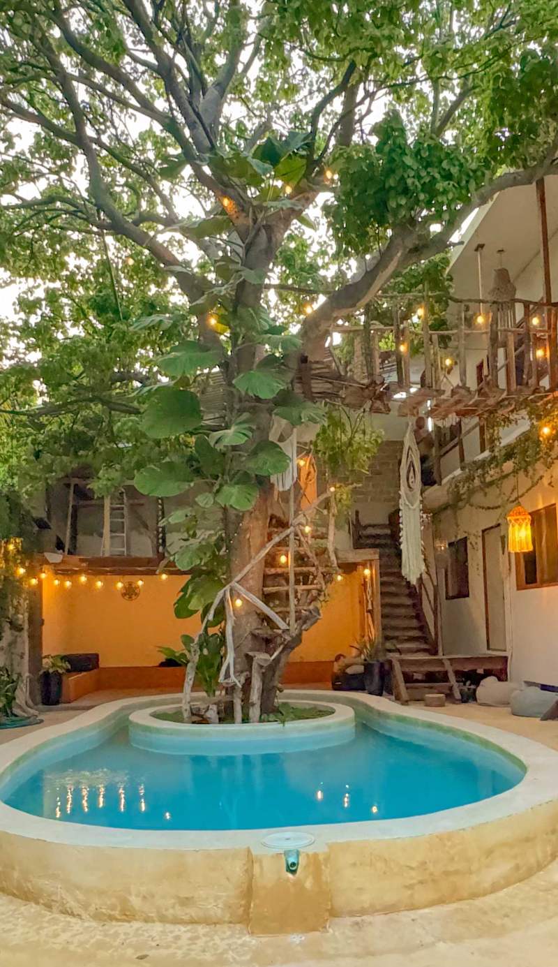 The Pool Treehouse