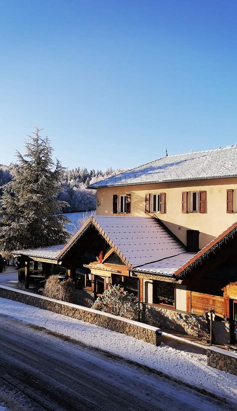 Hostel Quartier Libre