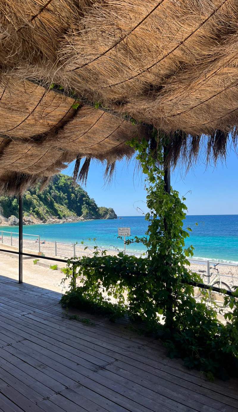 Oasis on the Beach