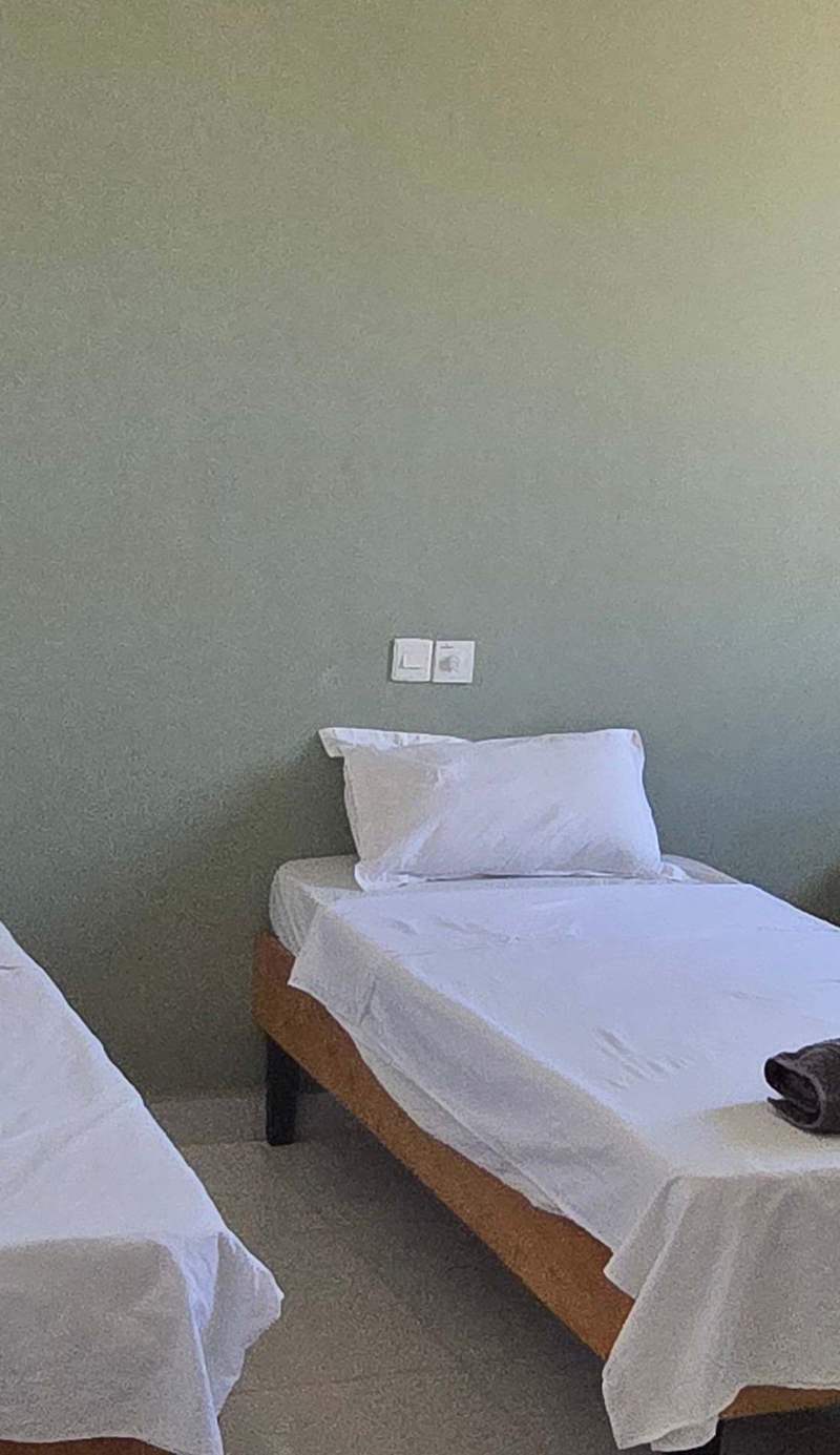 Crocodile Lodge